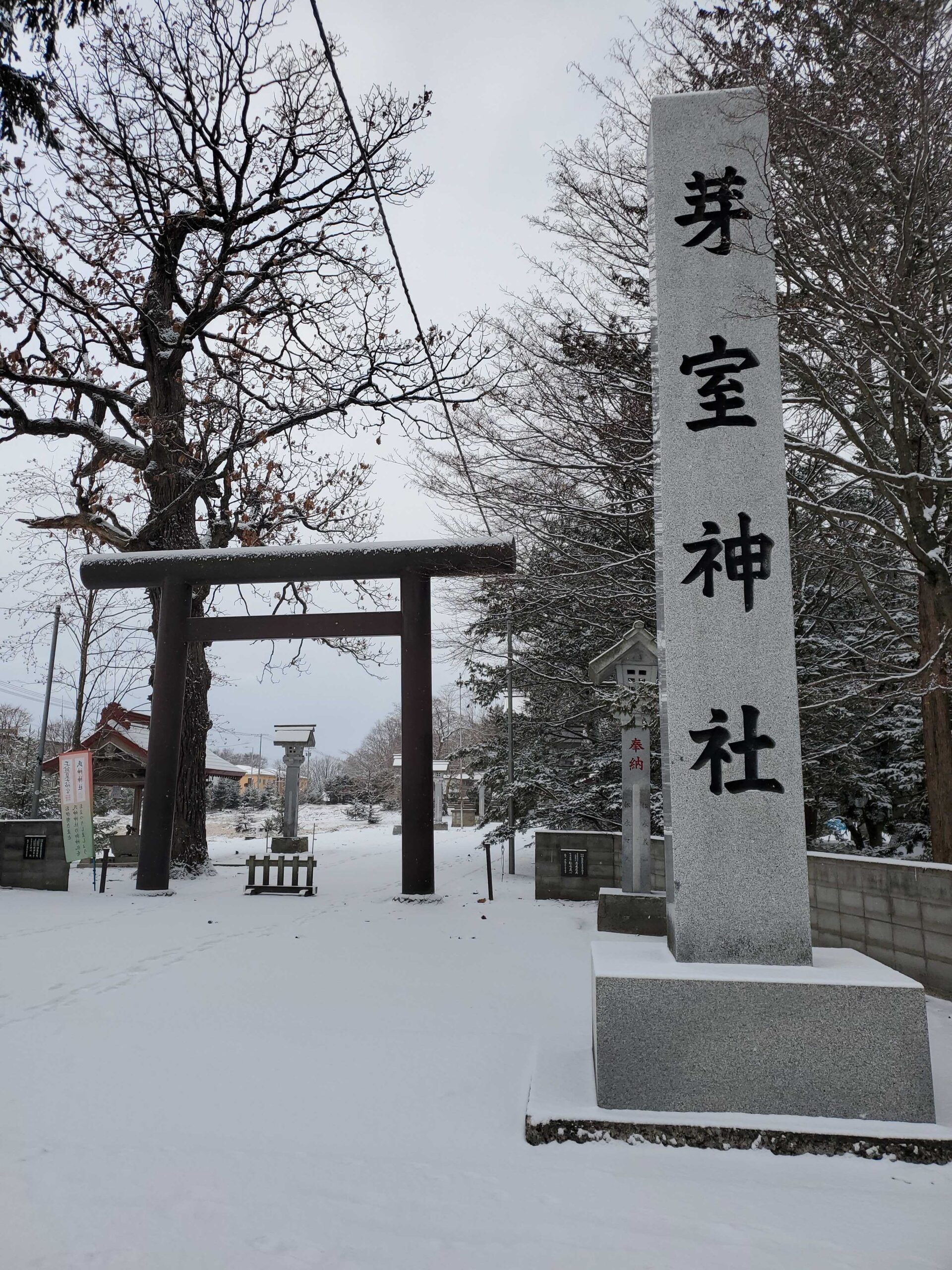 ちょっと雪降りました！